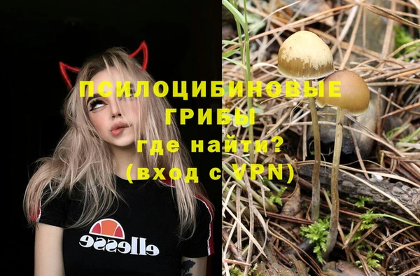 MDMA Premium VHQ Беломорск