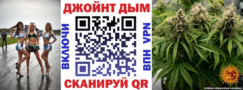Конопля сатива  сколько стоит  Динская 